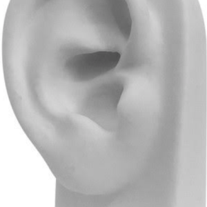 Expositor p/brinco, orelha de silicone.